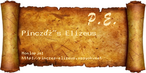 Pinczés Elizeus névjegykártya